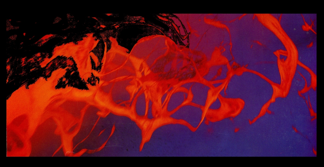 4 Igor's Firebird