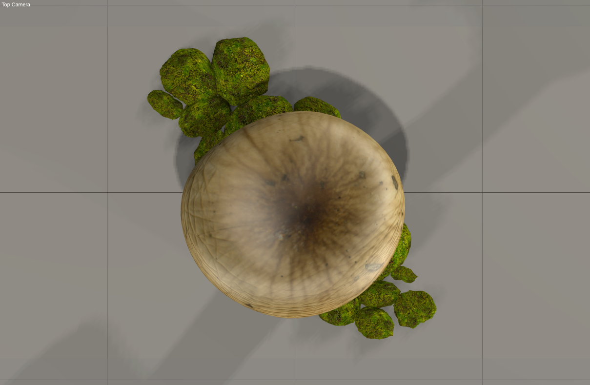 plan view