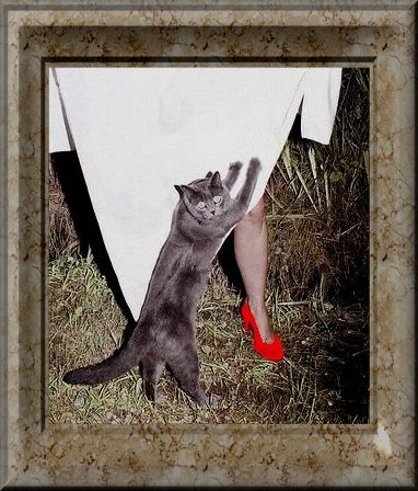 WeThePuddy? And the red shoe!