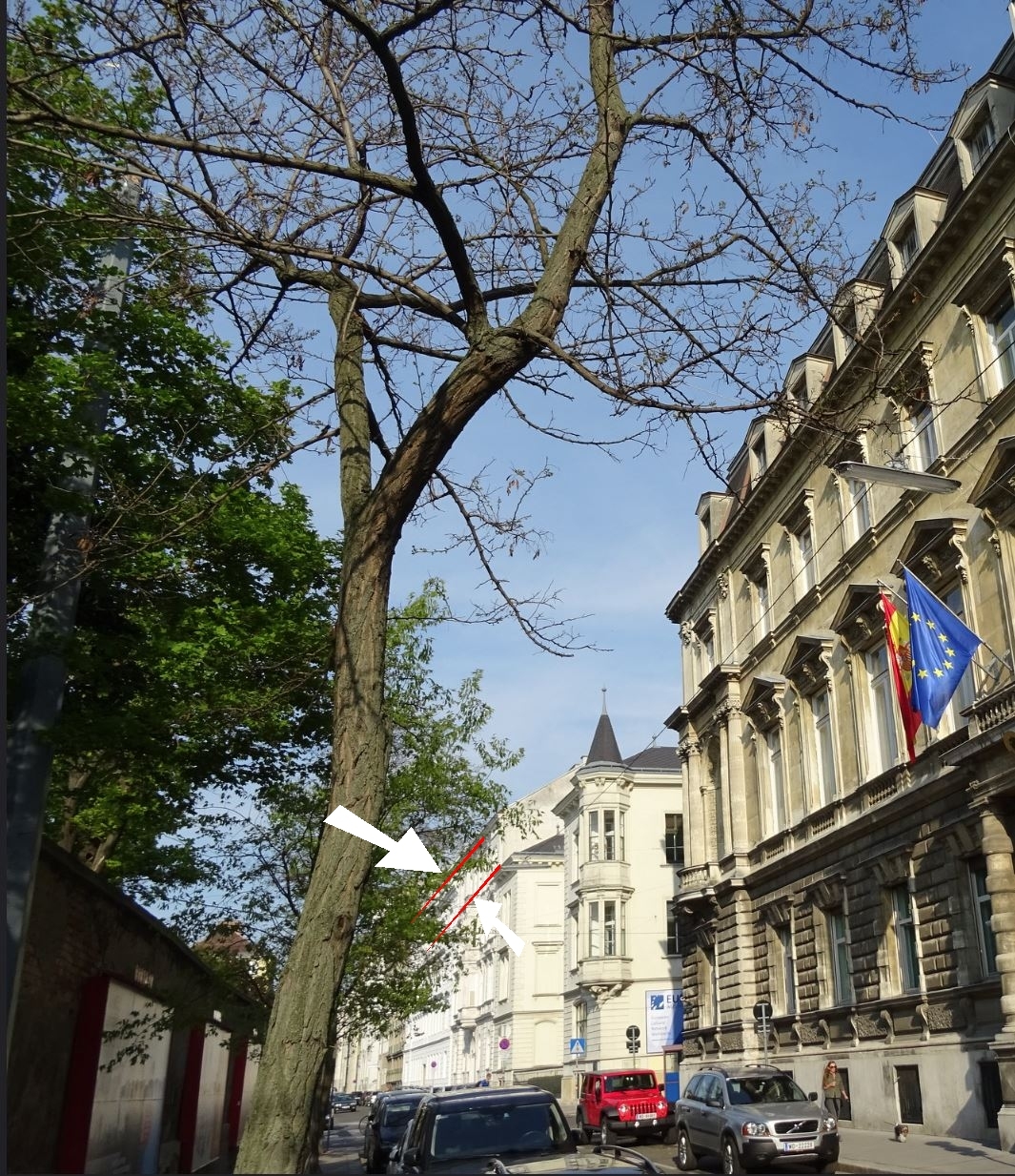 Wien