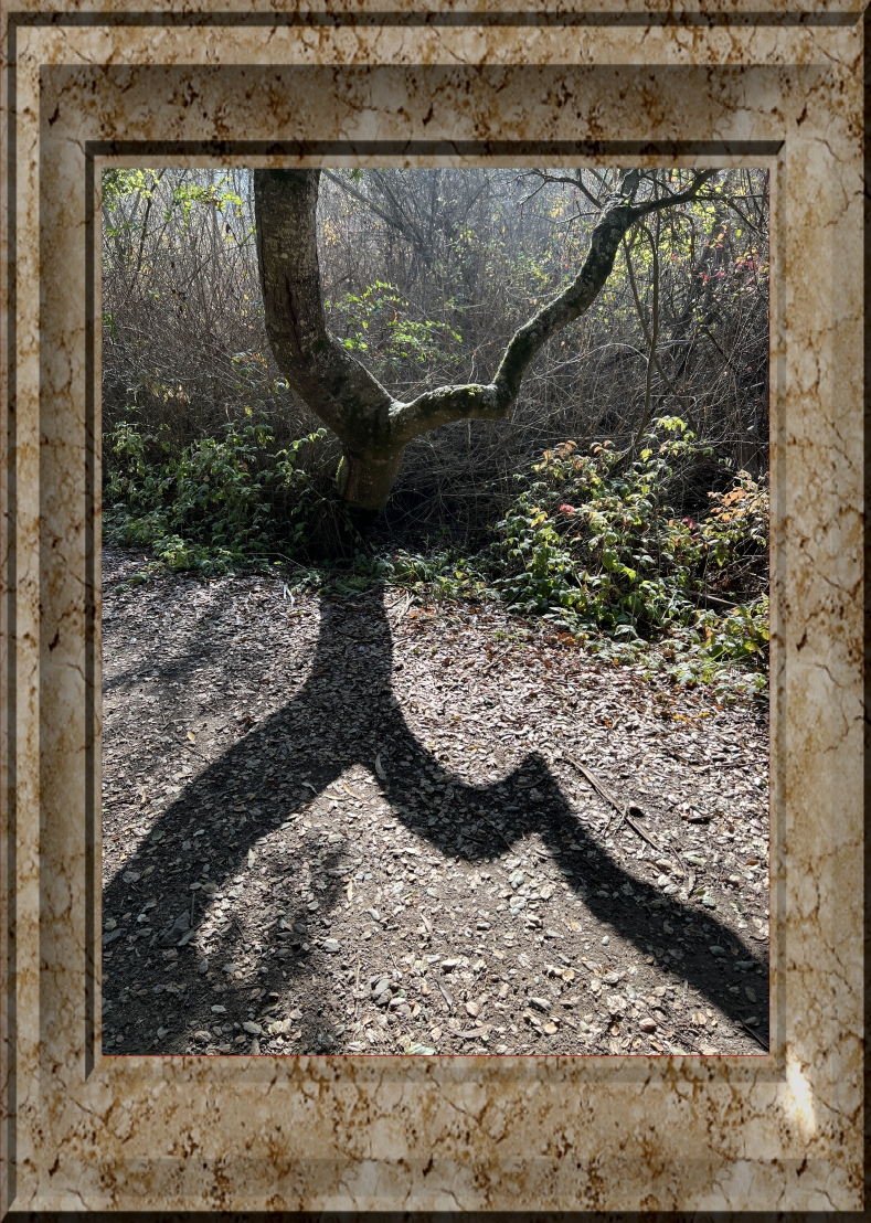 shadows are heading our way