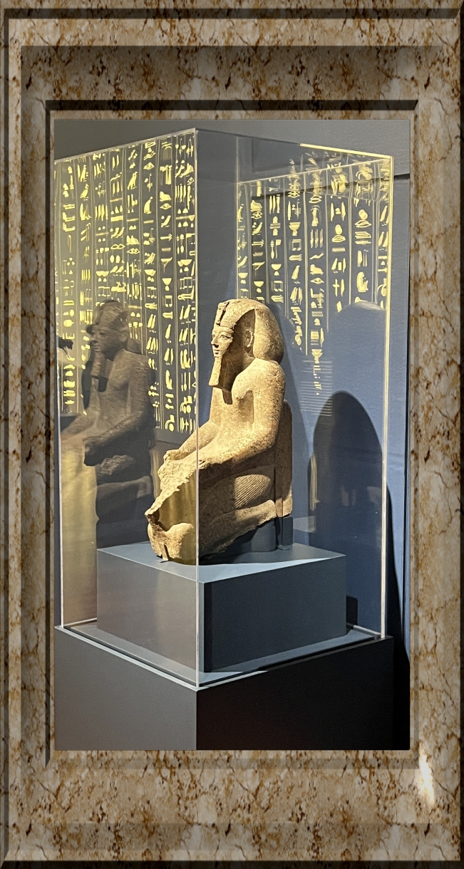 vitrine