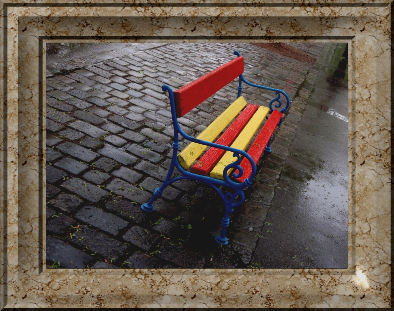 photograph emty bench