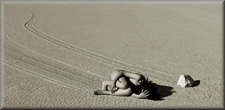 Wind blows hard on a wet mud flat